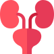 Urology & Kidney Transplant